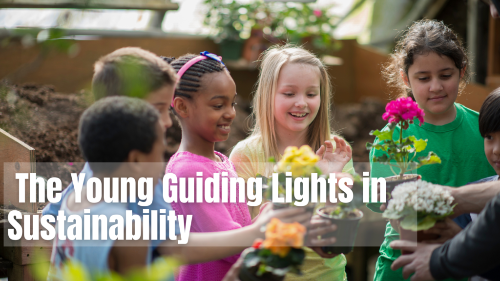 Balanced Leadership: The Path to Success & Sustainability